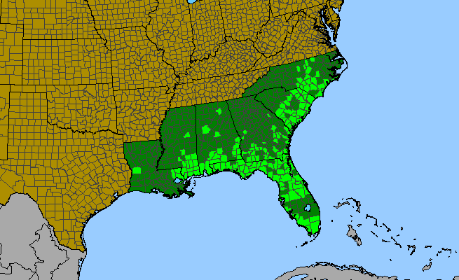 The range of Tephrosia florida